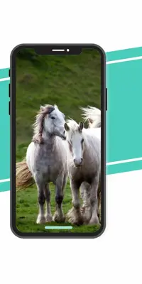 Horse Wallpaper android App screenshot 0