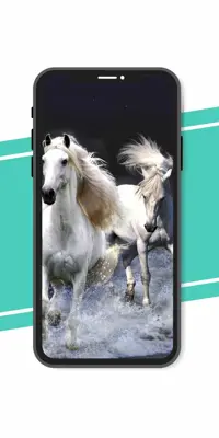 Horse Wallpaper android App screenshot 1