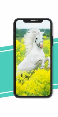 Horse Wallpaper android App screenshot 2